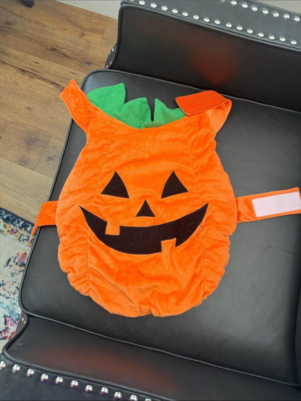 Size M dog Jack-O'-Lantern Costume - Orange